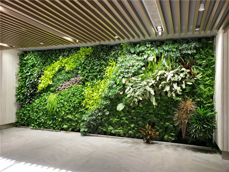 植物墙，苔藓墙
