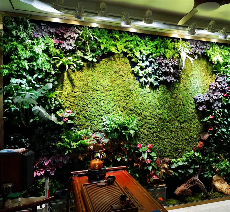 植物墙，苔藓墙